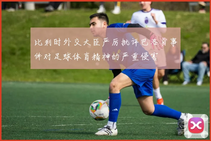 比利时外交大臣严厉批评巴洛贡事件对足球体育精神的严重侵害